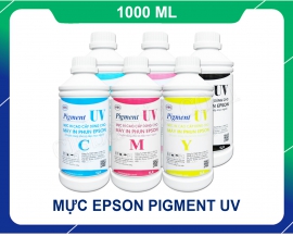 Mực Epson Pigment UV 