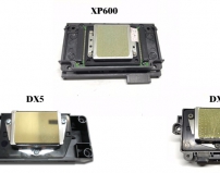 Phân Biệt Đầu Phun Epson DX5 - DX7 và XP600